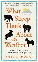 What Sheep Think About the Weather