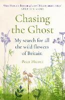 Chasing the Ghost