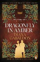 Dragonfly In Amber