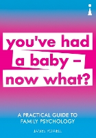A Practical Guide to Family Psychology