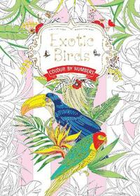 Exotic Birds (Colouring Book, by Numbers): Colour by Numbers (Colouring Books)