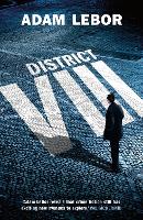 District Viii