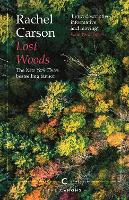 Lost Woods