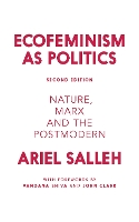 Ecofeminism as Politics