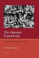 The Opaque Experience