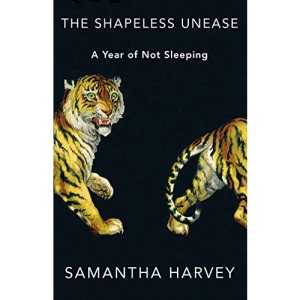 The Shapeless Unease: A Year of Not Sleeping