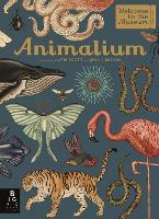 Animalium