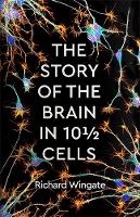 The Story of the Brain in 10½ Cells