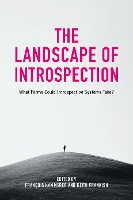 The Landscape of Introspection