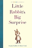 Little Rabbit's Big Surprise