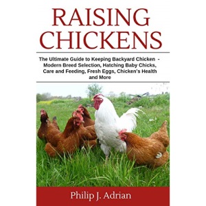 Raising Chickens