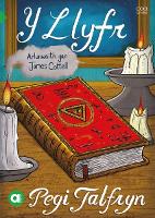 Cyfres Amdani: Y Llyfr