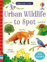 Urban Wildlife to Spot