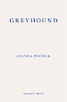Greyhound