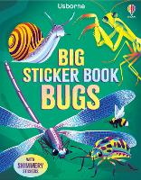 Big Sticker Book Bugs