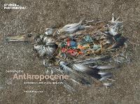 Surveying the Anthropocene: