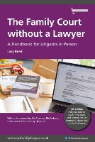 The Family Court without a Lawyer