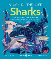 Sharks (A Day in the Life)