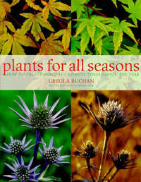 Plants for All Seasons: Beautiful and Versatile Plants That Change Through the Year