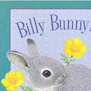 Billy Bunny's 123 (Maurice Pledger Board Books)
