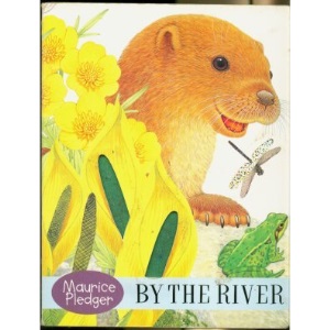 Oscar Otter - By the River (Touch & Feel Board Books)