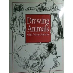 Drawing Animals