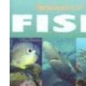 Encyclopedia of Fish. An Essential Guide to Fish of the World.