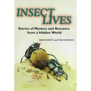 Insect Lives: Stories of Mystery and Romance from a Hidden World