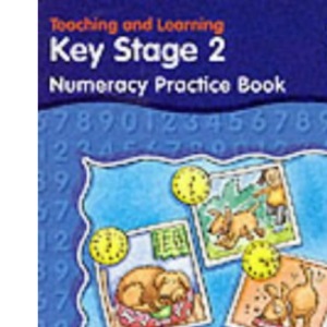 KS2 Numeracy Practice Book: Year 5 (Letts Primary Activity Books for Schools)