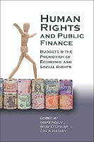 Human Rights and Public Finance