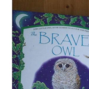 The Brave Little Owl (Embossed Books)