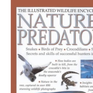 Nature's Predators (The illustrated wildlife encyclopedia)