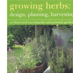 Growing Herbs: Design, Planting, Harvesting, Using