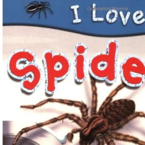I Love Spiders