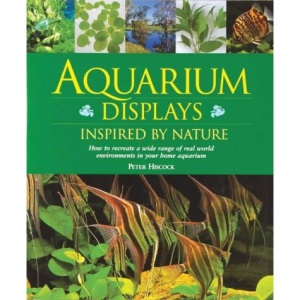 Aquarium Displays Inspired by Nature