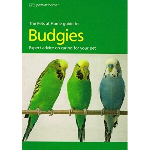 A Quick-n-easy Guide to Keeping Budgies