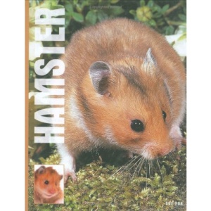 Hamsters
