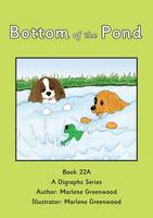 Bottom of the Pond