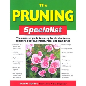 The Pruning Specialist
