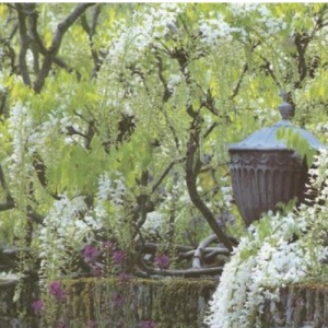 Sissinghurst Castle Garden (National Trust Guidebooks)