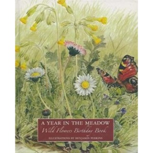 A Year in the Meadow