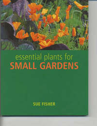 Essential Plants for Small Gardens