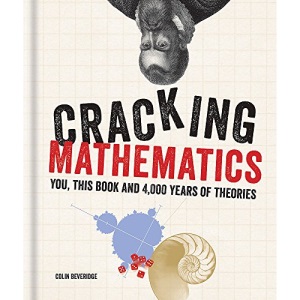 Cracking Mathematics: You, this book and 4,000 years of theories
