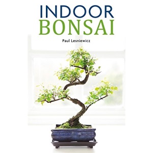 Indoor Bonsai