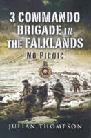 3 Commando Brigade in the Falklands: No Picnic