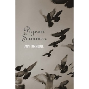 Pigeon Summer