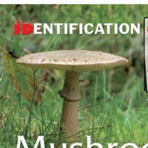 Mushrooms & Other Fungi: Identification Guide (Identification Guides)