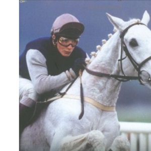 The Horses of My Life