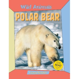 WILD ANIMALS POLAR BEAR