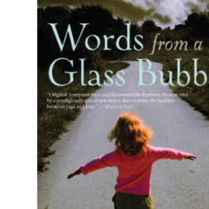 Words from a Glass Bubble (Salt Modern Fiction)